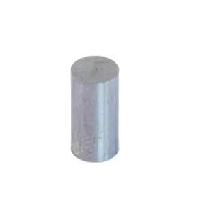 AlNiCo round rod magnet blank, SAV 240.45-MK20 | buy online