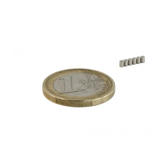 Neodymium schijfmagneten rond super krachtig, SAV 240.55-MK50