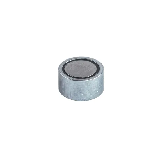 Potmagneet vlak Ø 6 x 4,5 mm | 0,5 kg houdkr. Neodymium Potmagneet vlak Ø 6 x 4,5 mm | 0,5 kg houdkr. Neodymium