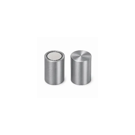 Rod magnet Ø 16 mm (h6) x 20 mm | 9 kg | SAV Rod magnet Ø 16 mm (h6) x 20 mm | 9 kg | SAV